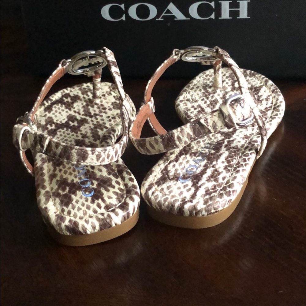 🌟COACH Thong Sandal🌟 - Picture 6 of 9